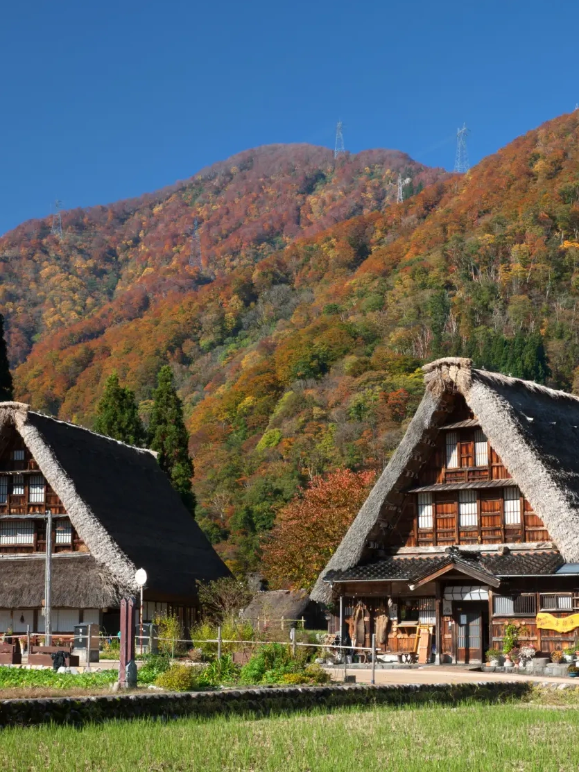 紅葉の山々を背景に建つ五箇山・相倉の合掌造り家屋
